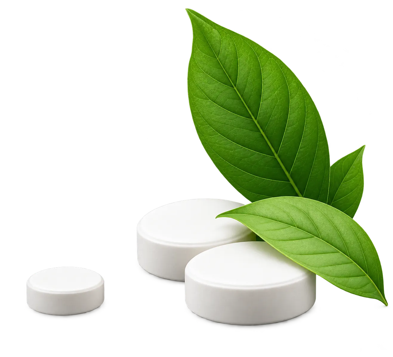Nutraceutical Illustration