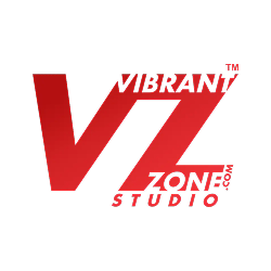 Best Mobile App Development Company in Surat 14 Vibrant zone