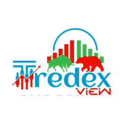 Best IT Company in Surat 33 Tradex View