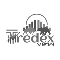 Best IT Company in Surat 32 Tradex View1